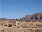 Dmc desert en Algérie