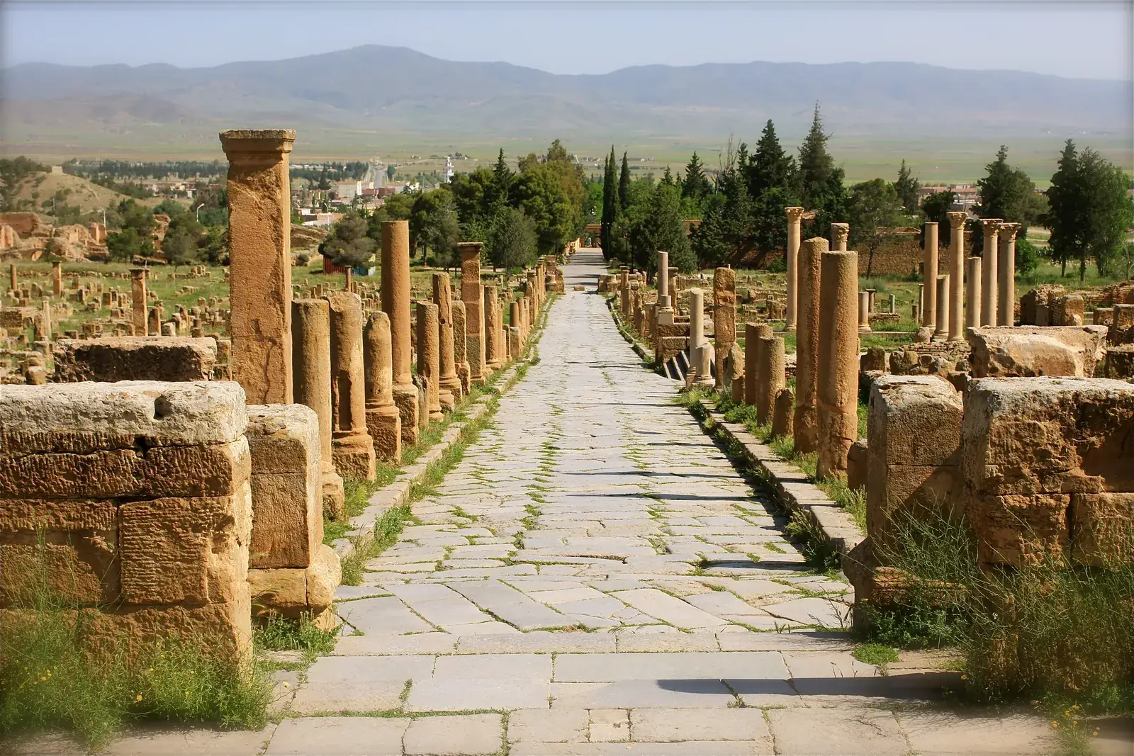 Voie romaine bordée de colonnes sur le site antique de Djémila, Algérie