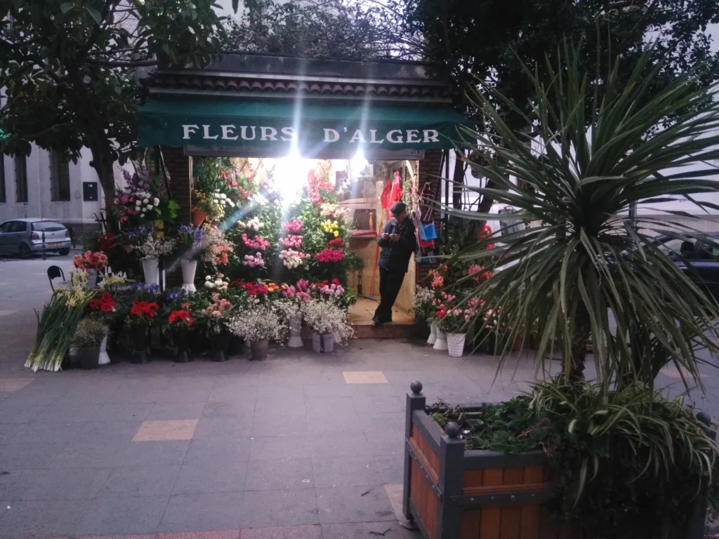 Fleuriste dans une rue d'Alger, Algérie