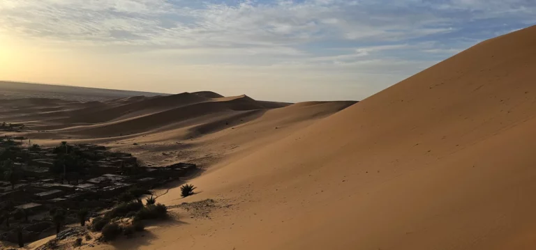 Oasis de Béni Abbès dans la vallée de la Saoura, Algérie