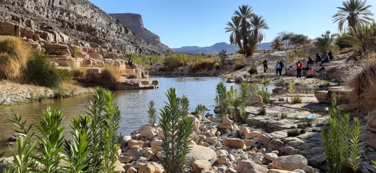Oasis du Sahara algérien